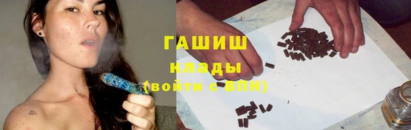 стаф Алзамай