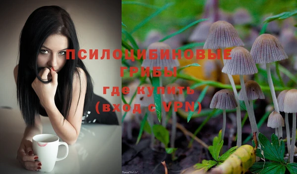 СК Алексин