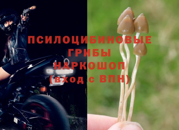 таблы Алексеевка