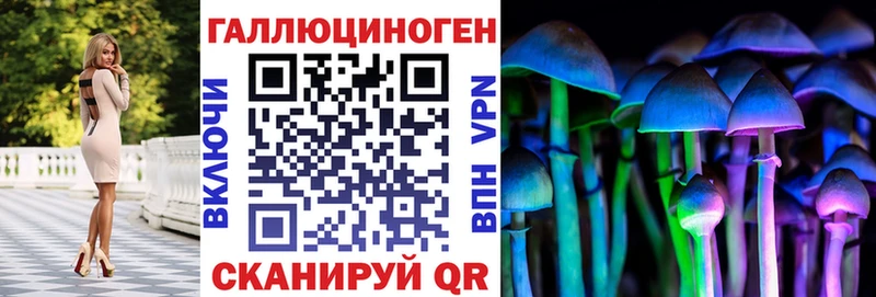 blacksprut маркетплейс купить цена Покров Псилоцибиновые грибы Magic Shrooms