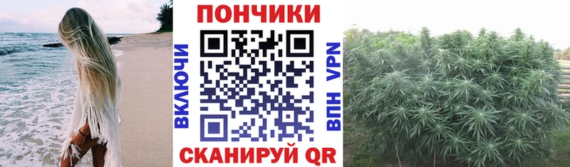площадка как зайти  Покров  Бошки марихуана THC 21%  цена  